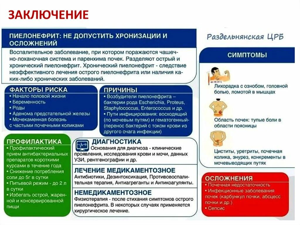 Меню при пиелонефрите