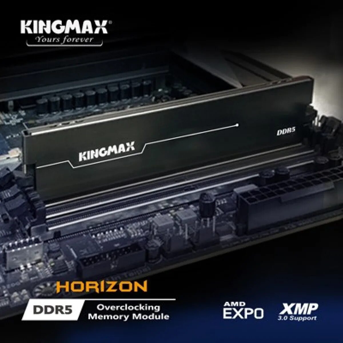 Ddr5 amd expo. Elite u-dimm ddr5 5200. horizon&#039;s memory. horizon&#039;s memory pd2.