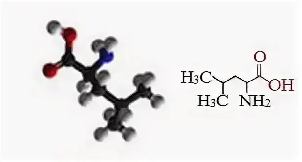 2 Амино 4 метилпентановая кислота формула. 2-Амин-4метилпентановая кислота. Лейцин название по номенклатуре. 2) 2-Амино – 4-метилпентановая кислота. 2 метилпентановая кислота формула