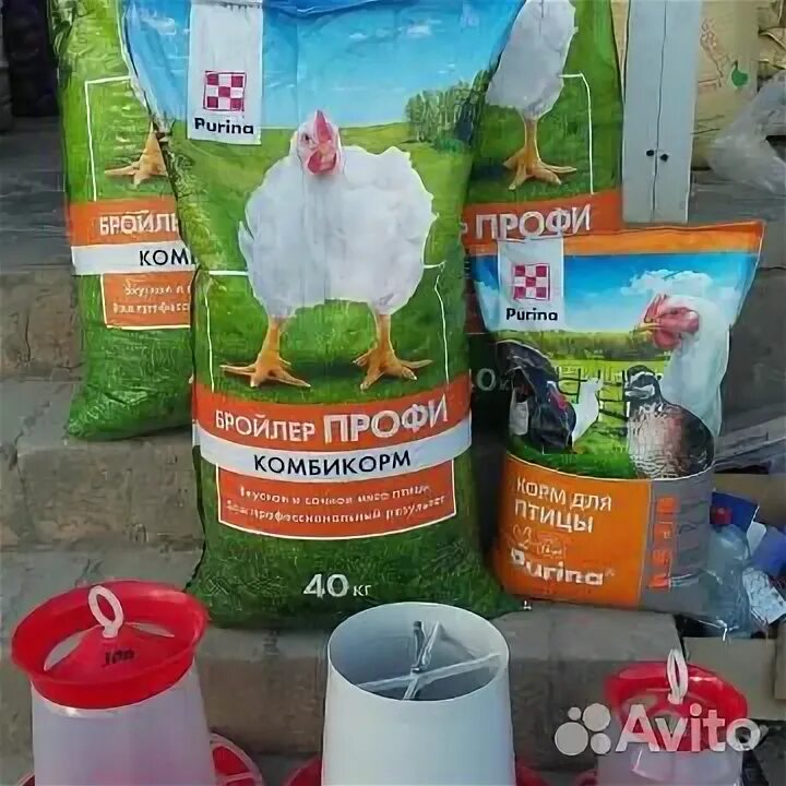 Комбикорм старт рост финиш. Пурина корм для птицы бройлеров. Корм для бройлеров пурина рост. Комбикорм пурина для бройлеров старт. Состав комбикорма пурина старт для бройлеров.
