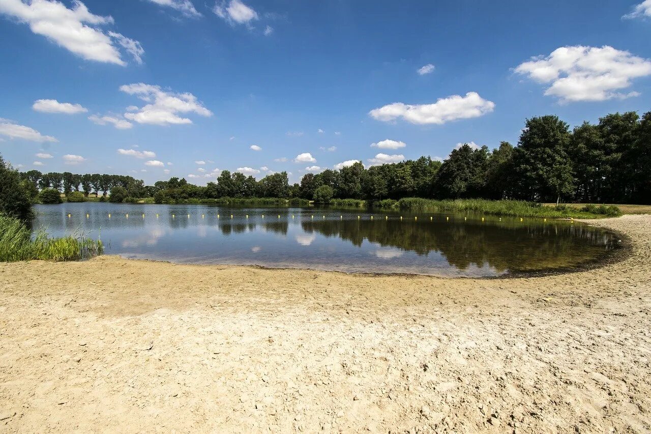 озеро белые берега калужская область. берега калужская область. белые берега калуга база отдыха. малаховка озеро пляж. белые берега калуга база.