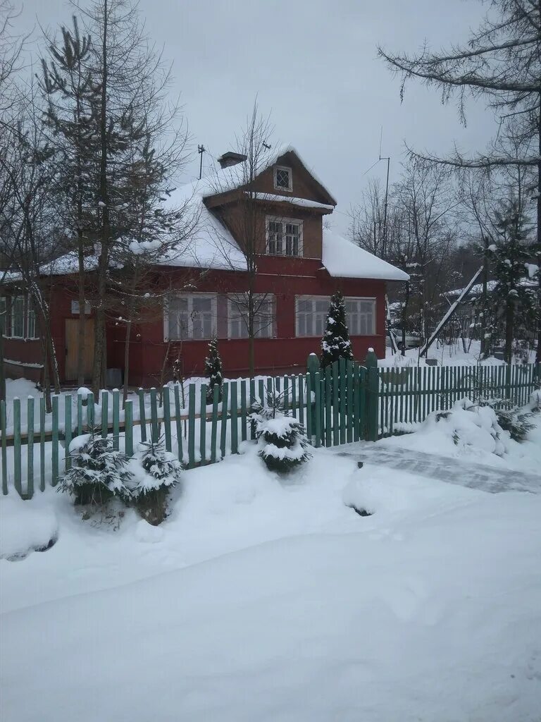 лесничество кирова