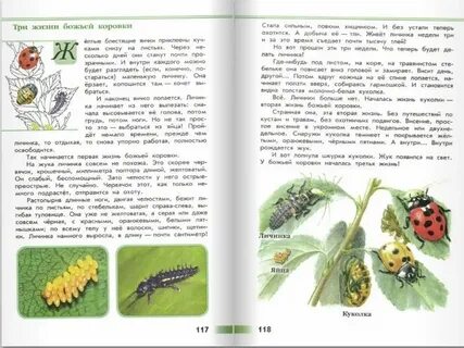 Читать рассказ странички жизни