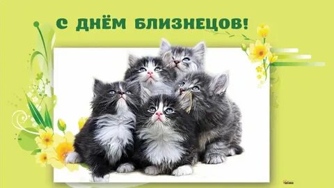 День близнецов