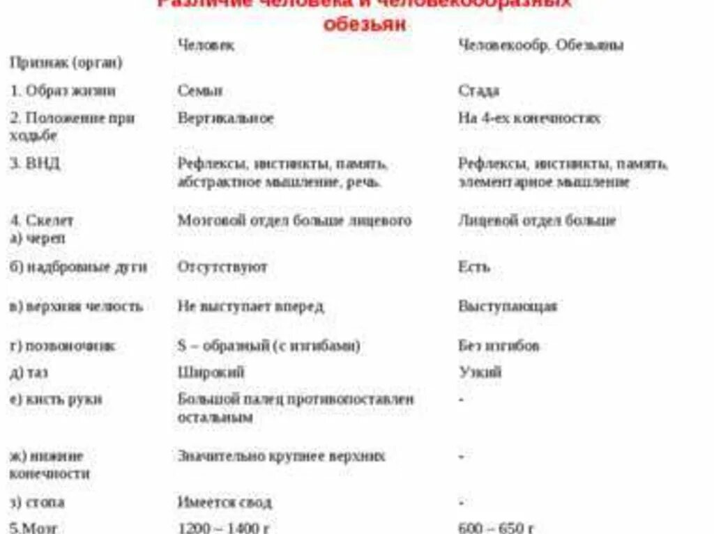 Таблица человек и человекообразные обезьяны. Различие скелетов человека и обезьяны таблица. Различтч человека и человекообразных обезьян. Сходства и различия человека и человекообразных обезьян. Отличие человека от человекообразных обезьян таблица.