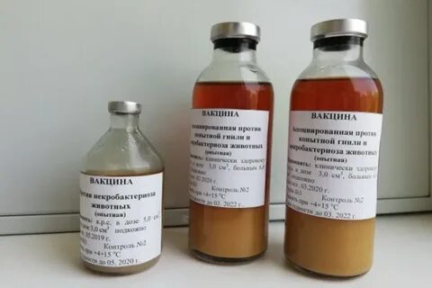 Вакцина от ящура инструкция по применению