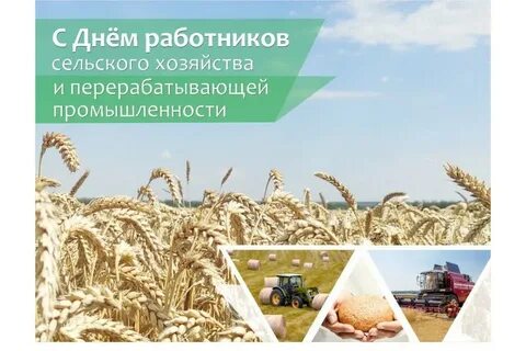 День сельхоза