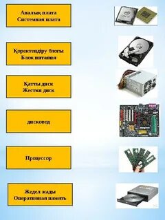 Арқанға оралған мүше