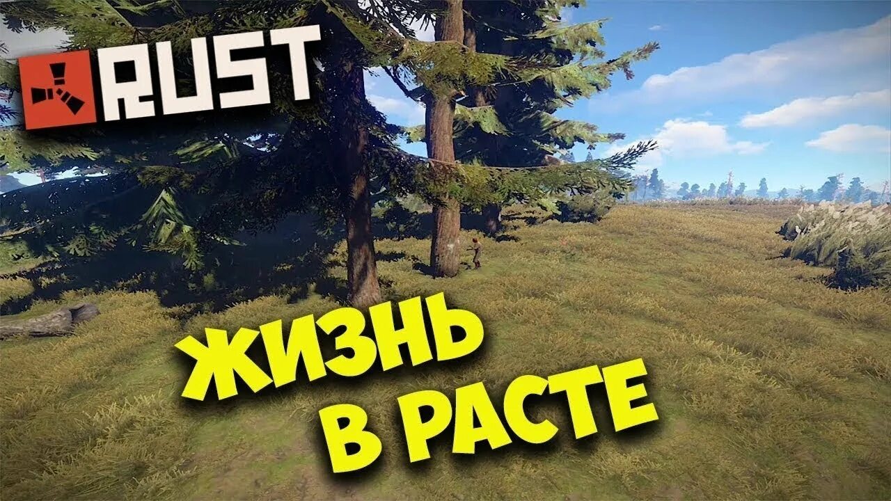 1 жизнь раст. Раст выживание. раст моя жизнь. раст выживание на превью. жизненная картинка в раст.