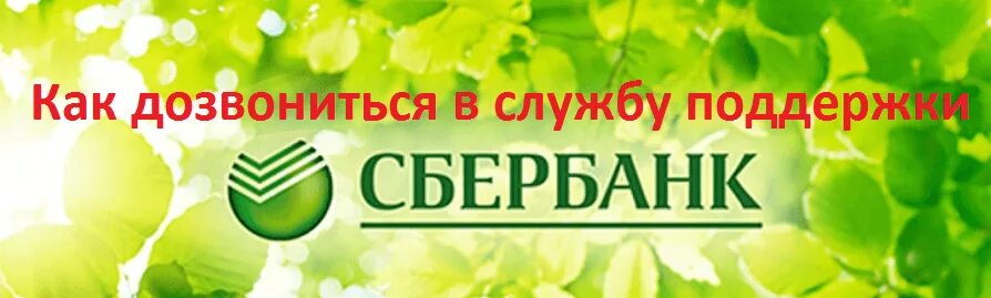 Горячие линии Сбербанка. Телефон горячей линии Сбербанка России бесплатный. Служба поддержки Сбербанк. Горячая линия сбербанка 8800555777 телефон