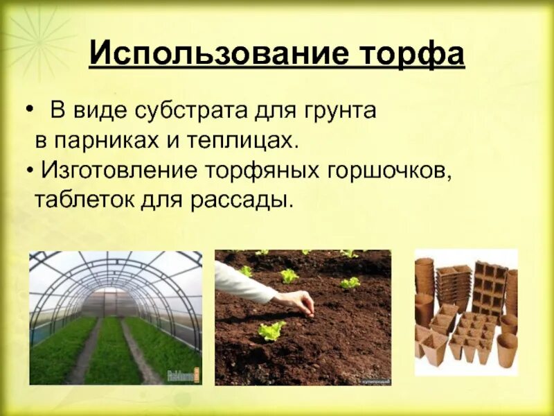 Для чего нужен торф. Применение торфа. использование торфа человеком. торф используется в хозяйстве. как используют торф.