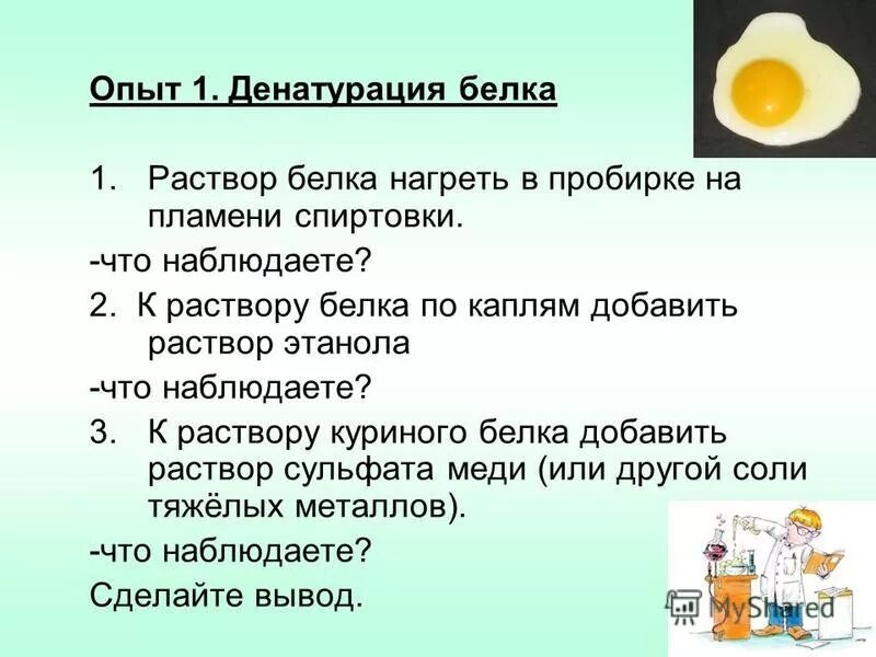 Раствор куриного белка