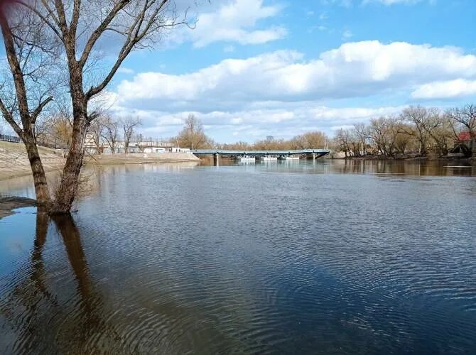 Река болва уровень воды. Река Болва. Болва Брянск. Река в г Брянск. Река Снежка Брянск.