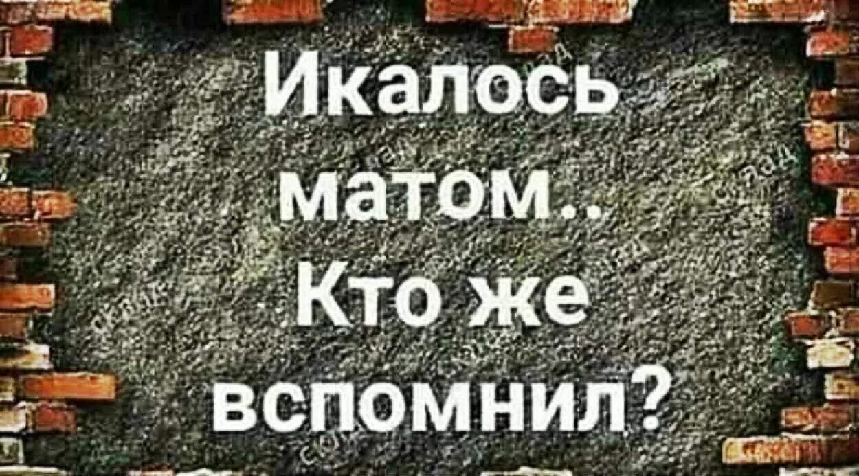 Икаться. Фразы про дерево. Пока я жив ничего не бойся папа картинки. Демотиватор. Прикол.