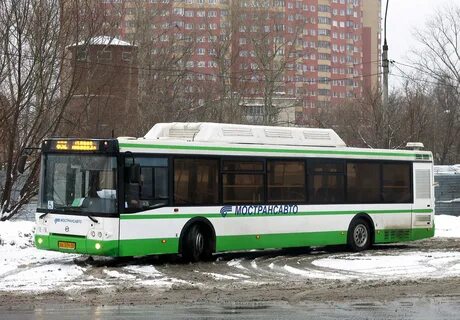 Автобус 852 путилково