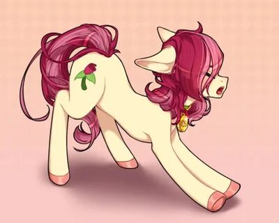earth pony, pony, g4, behaving like a cat, collar, commission, commissioner...