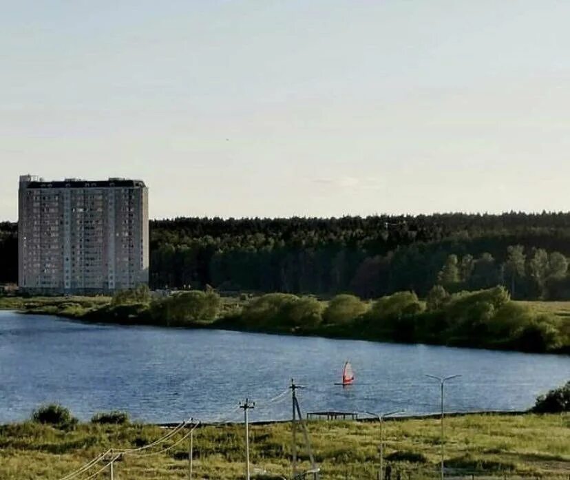 Парк удальцовские пруды. Удальцовские пруды москва. Вода переделкино. Вода переделкино. Вода переделкино.