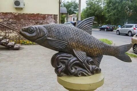 Золотая рыбка астраханская область