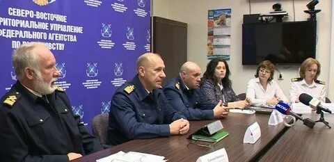 Свту камчатский