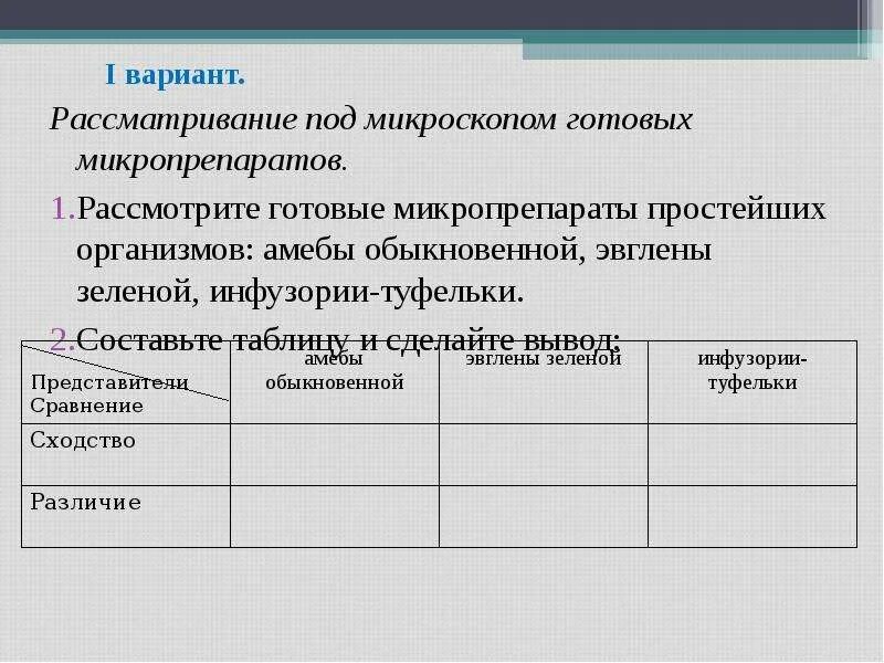 Найдите бесцветные клетки кожицы рассмотрите их форму: найдено 90 картинок