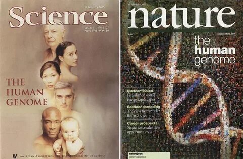 Human science