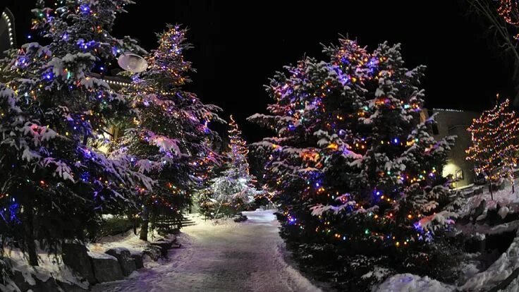 Decorated House With Christmas Lights In Night Snow Photography Backdrop J-0266 