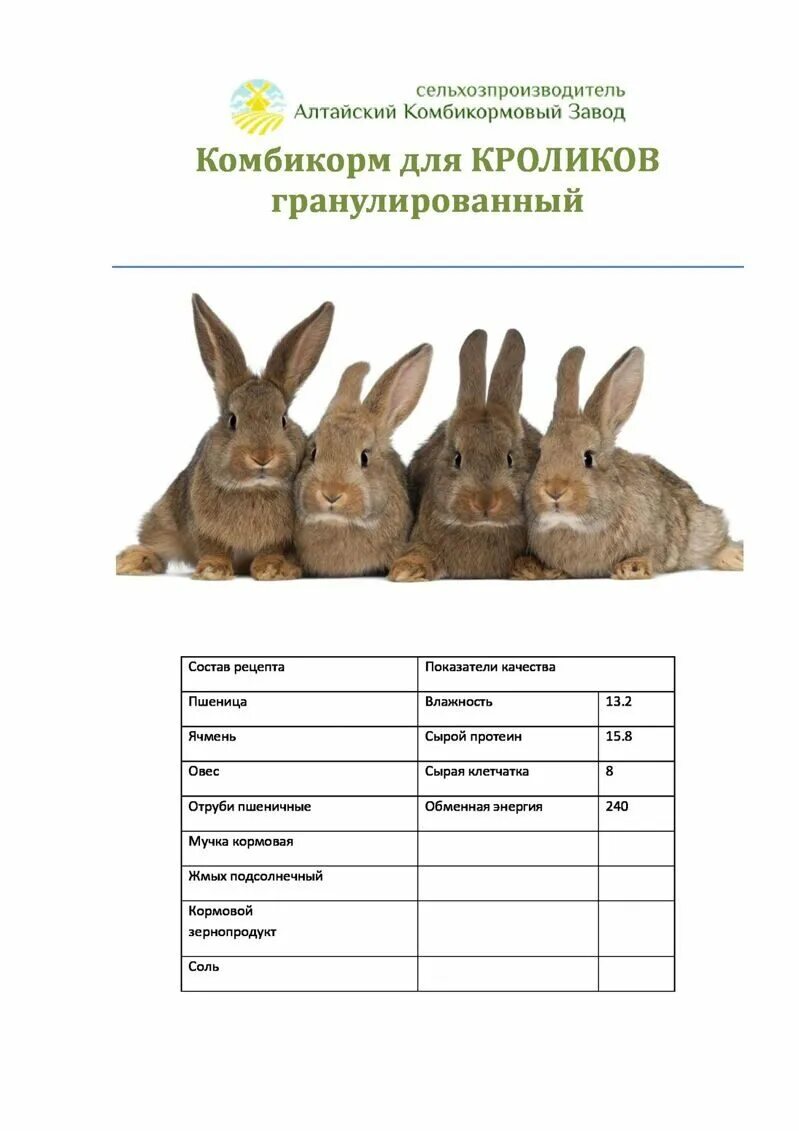 Что можно и нельзя кроликам. Что нельзя давать декоративным кроликам. Какую крупу можно давать кроликам. Какую крупу можно давать кроликам. Что можно давать кроликам.