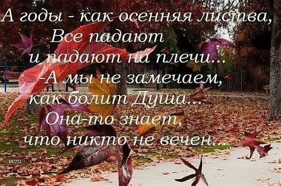 Годы жизни летят словно