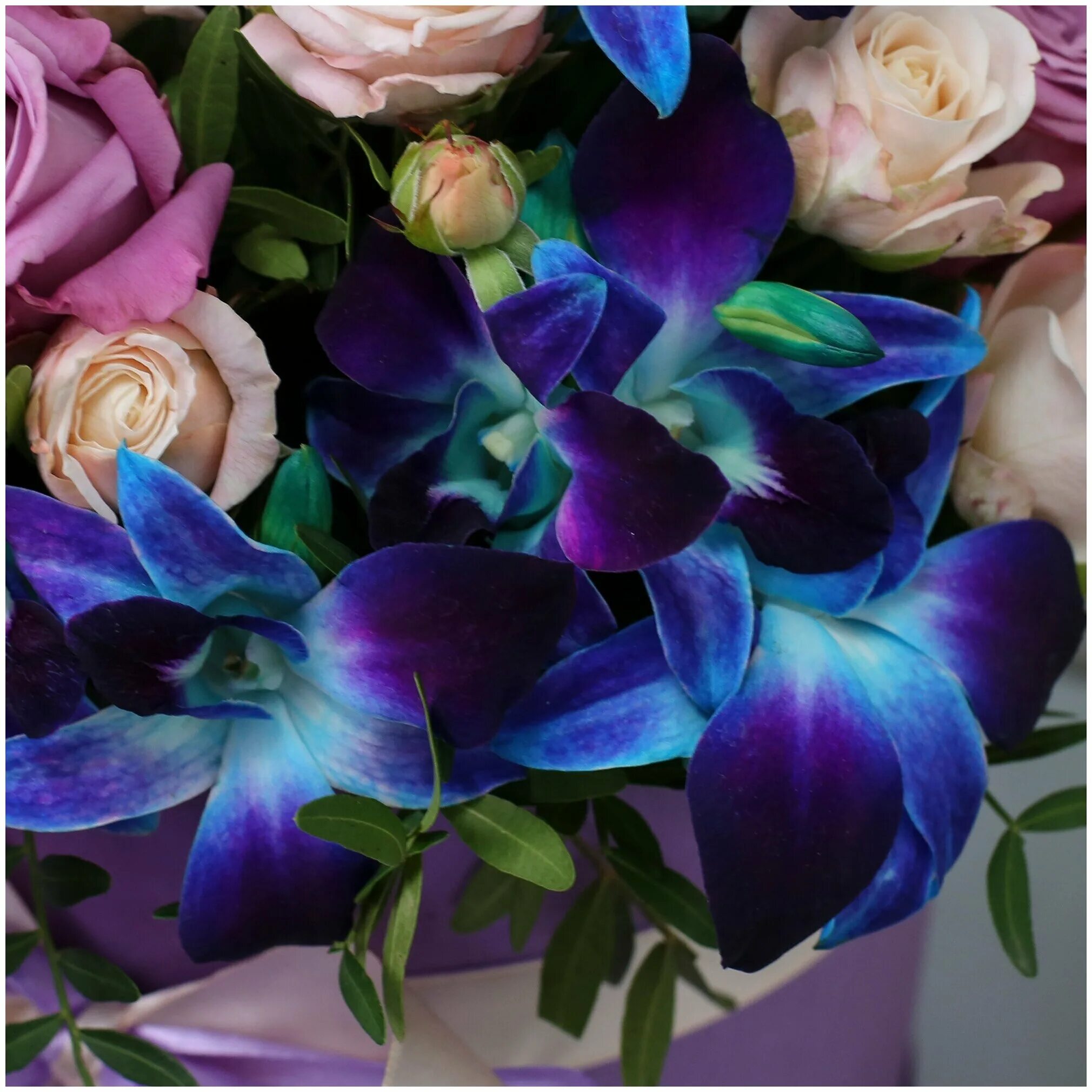 голубые орхидеи букет. синие орхидеи букет. синие орхидеи букет цена. синие орхидеи букет. орхидея дендробиум синяя букет.