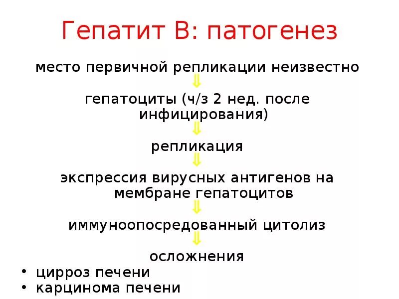 Этиология гепатита. Вирус гепатита а патогенез кратко. Вирусный гепатит б патогенез кратко. Гепатит б патогенез кратко. Патогенез вирусного гепатита в схема.