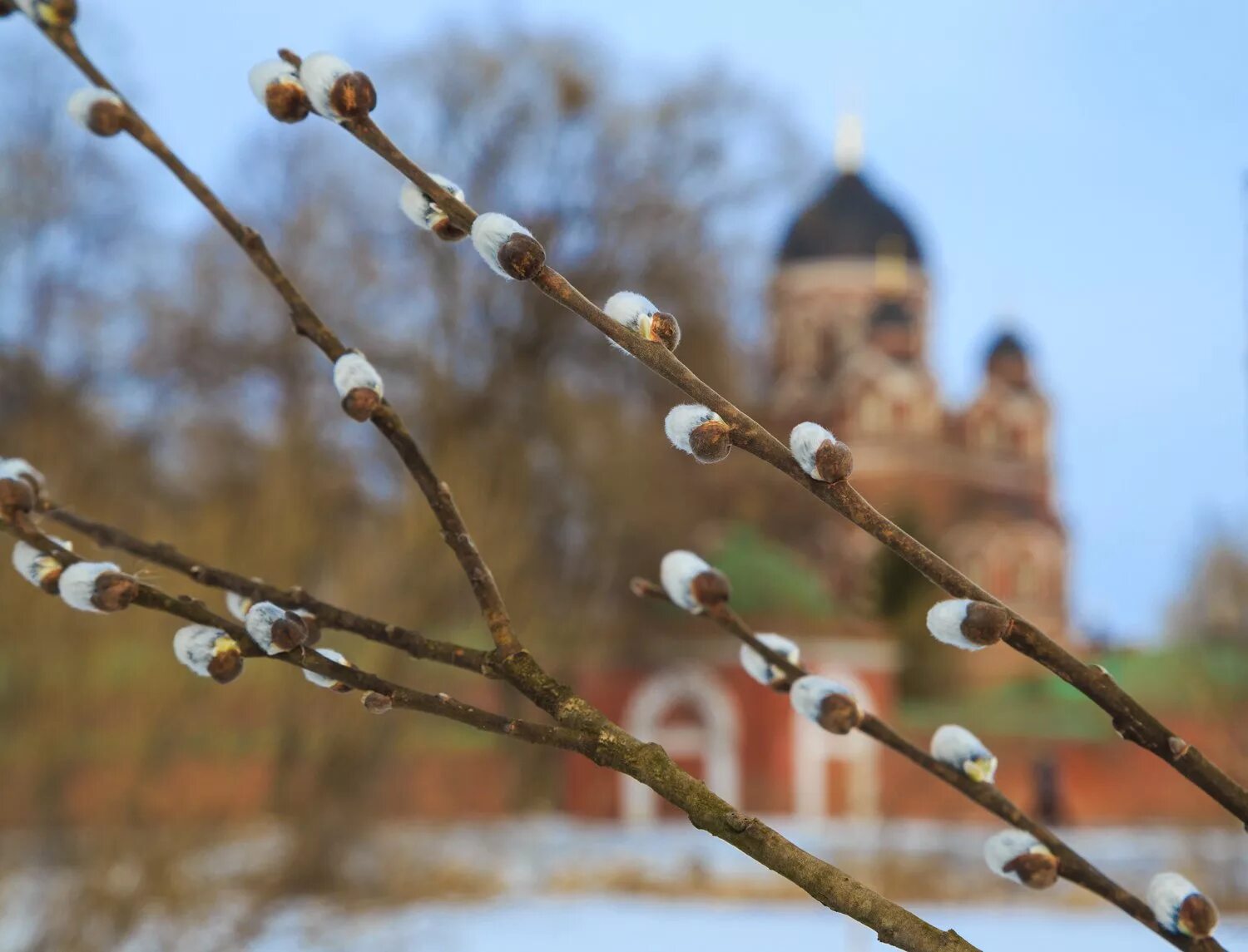 Свадьба в ресторане верба. Весенние цветы верба. Вербное воскресенье церковь белая калитва. Ресторан верба на коломенской. Вербное воскресенье православный праздник.
