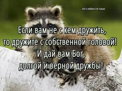 Ни с кем не подружился