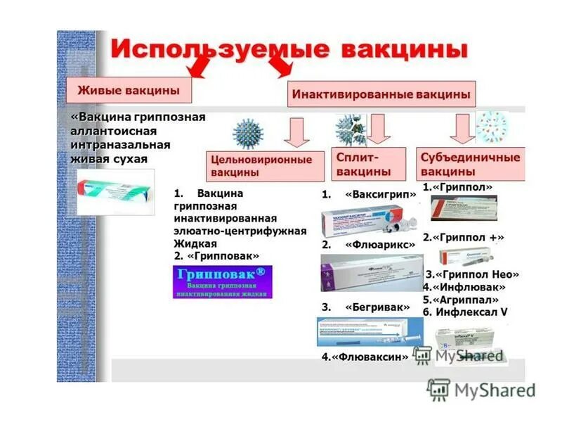 Живые вакцины непригодные к использованию относятся. Живые вакцины это какие прививки. Живая и инактивированная вакцина. Инактивированные вакцины виды. Инактивированная вакцина перечень вакцин.