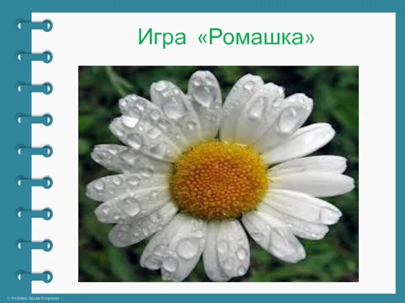 Ромашка 10 букв. Игра ромашка. экологическая ромашка. викторина игра ромашка. презентация ромашка для детей.