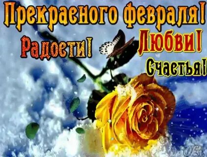 Февраль добрый день картинки красивые