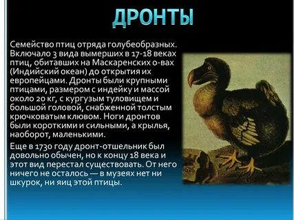 Презентация исчезла