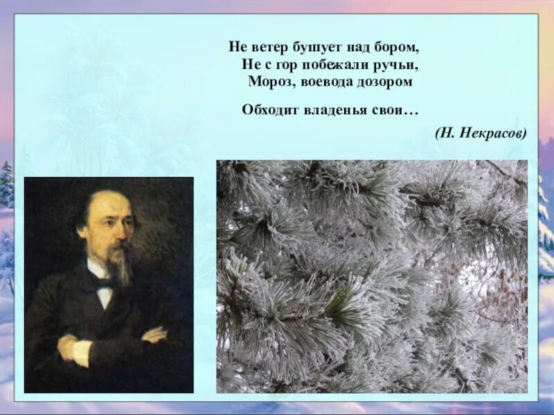 Мороз дозором обходит владения свои. Ветер бушует над бором Некрасов. Н А Некрасов не ветер бушует. Некрасов Мороз Воевода стихотворение.