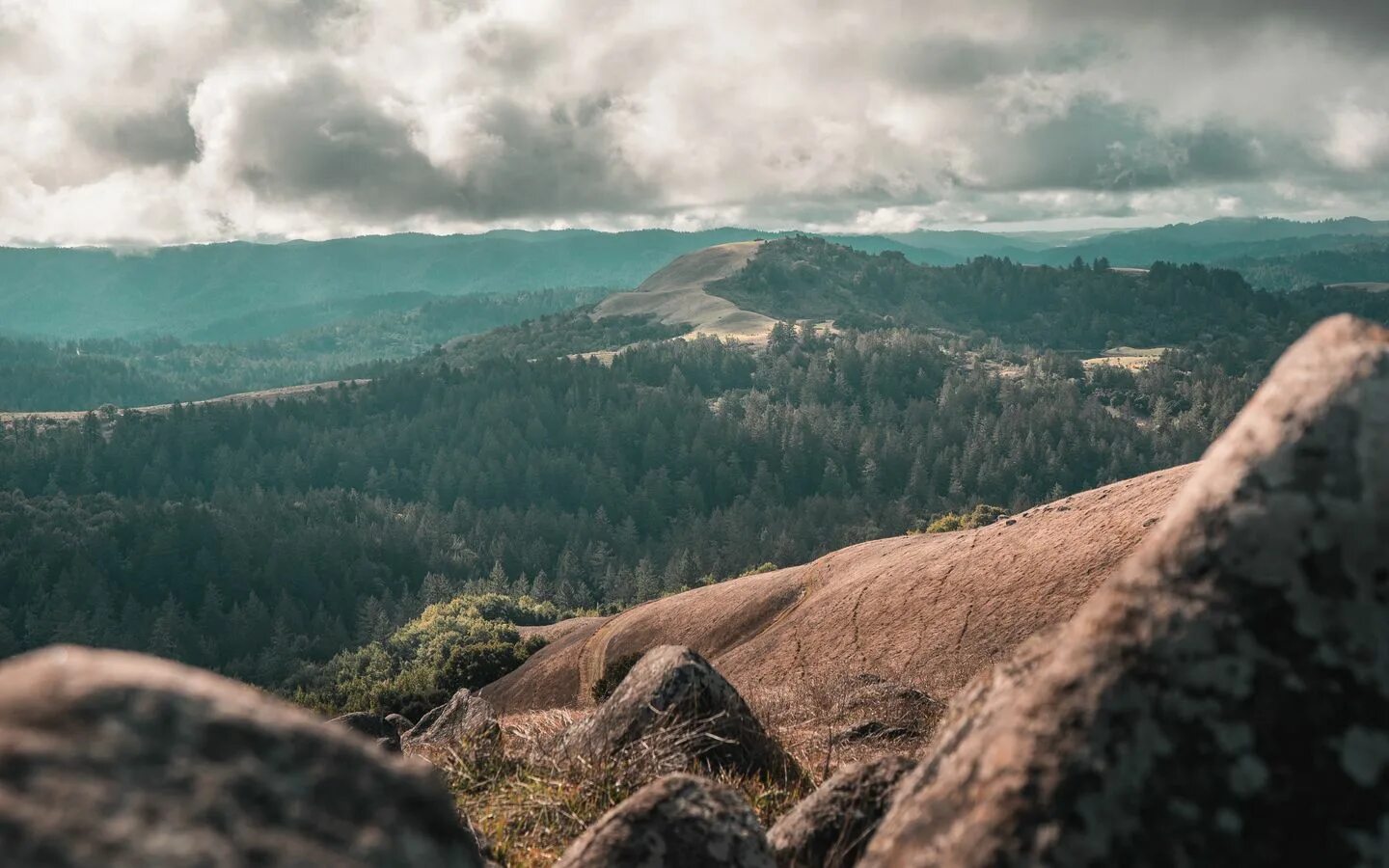 Зеленые горы. Холмы 4. Горы грин-маунтинс. Холм palouse. Холмистый рельеф местности.