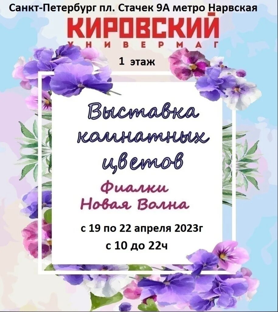 Выставка фиалок в марте 2024. Выставка фиалок. Выставка фиалок в Кировском универмаге. Выставки фиалок в Питере. Выставка фиалок на Нарвской.