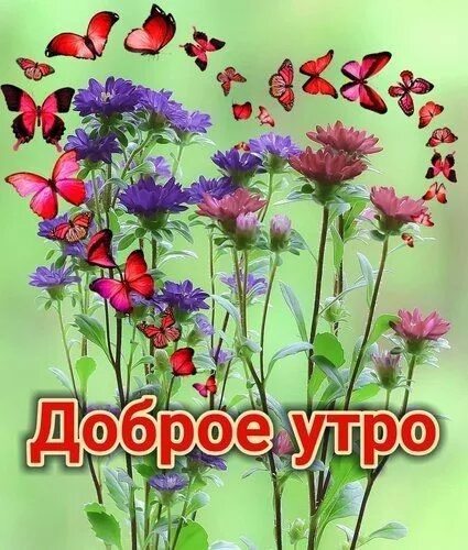 Доброе утро картинки пожелания тик ток Тик ток пожелания добра картинки: найдено 80 изображений