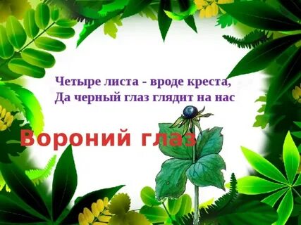 Четверо листов