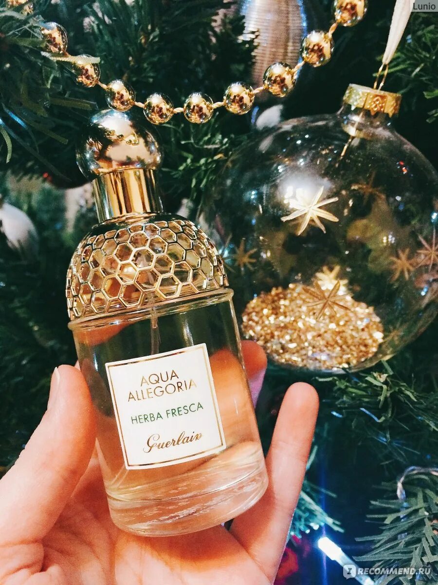 Guerlain aqua allegoria fresca. Guerlain Aqua Allegoria herba fresca. Guerlain Aqua Allegoria herba fresca 75 мл. Аква аллегория Херба фреска. Туалетная вода Guerlain Aqua Allegoria herba fresca.