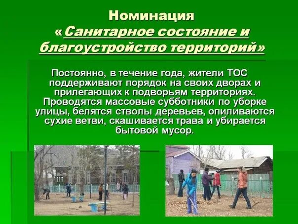 Проект тос по благоустройству территории образец Направления работы местного самоуправления