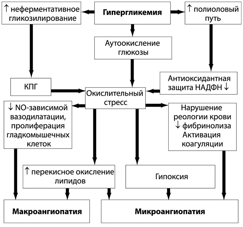 Окислительный стресс организма