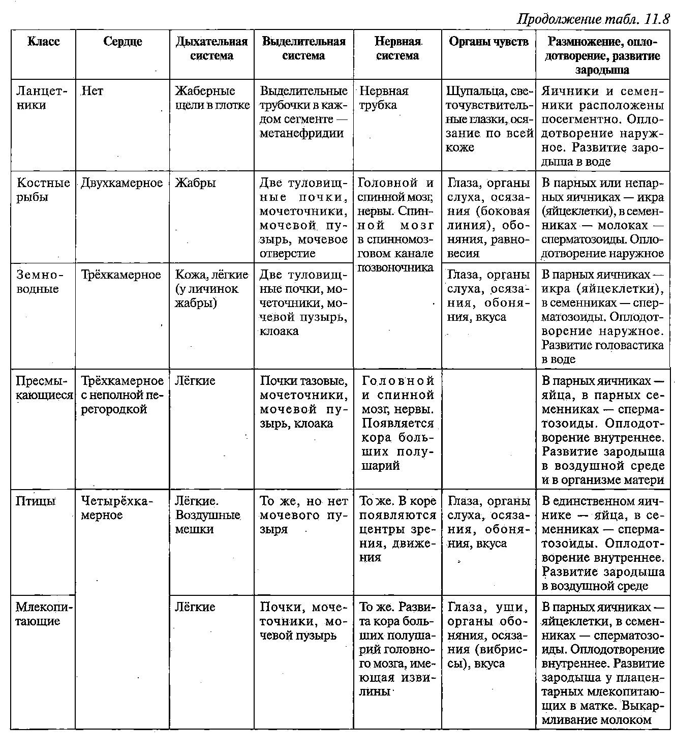 Представители каких классов позвоночных животных крупные яйцеклетки. Общая характеристика хордовых 7 класс биология таблица. Сравнительная характеристика основных классов типа Хордовые таблица. Общая характеристика типа Хордовые таблица система органов. Эволюция систем органов хордовых таблица.