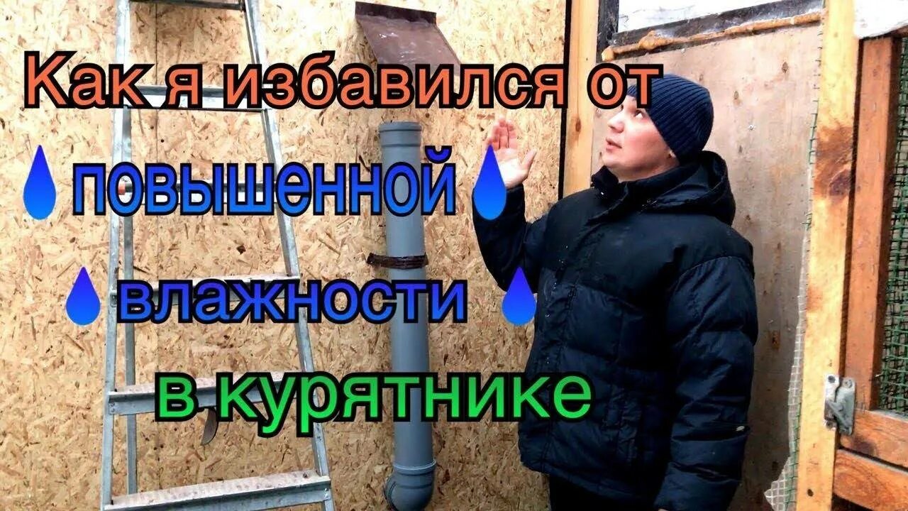 Опилки для курятника. Обогреватель в сарай для кур. Вентиляция в птичнике для кур несушек. Вентиляция в курятнике. В курятнике сырость зимой.