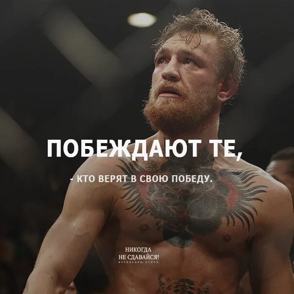 Собчак мемы. Создать мем кто победит. Кто победит фото. Кто победил. Кто победит фото.