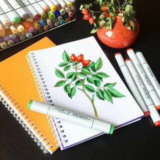 Картинки для маркеров для начинающих