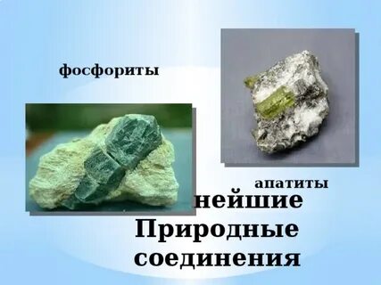 Фосфориты и апатиты
