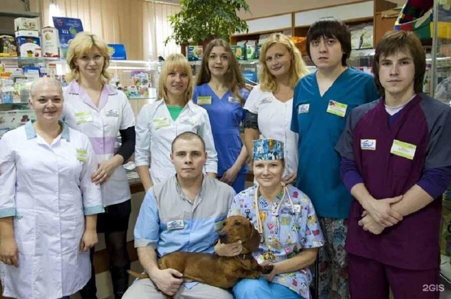Первый ветеринарный центр бирюлево. Ольга самуиловна ветеринар нижний новгород. филлмора ветеринарная клиника. свой доктор ветеринарная клиника дзержинский. ветеринарная клиника бирюлево западное медынская.
